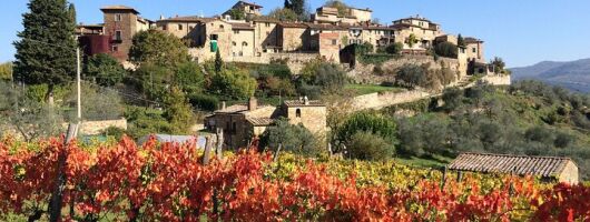 Private Siena, S. Gimignano, Chianti Road and Wine Tasting 