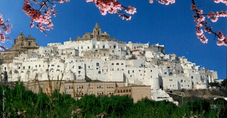 Apulia Enchanting Towns Wine Tasting Tour