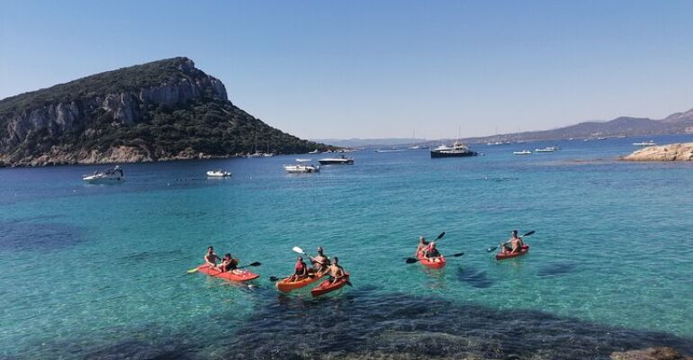Cala Moresca Dolphin Kayaking Adventure