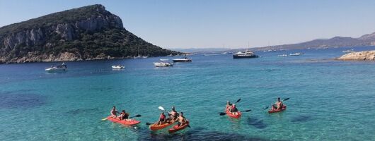 Kayak tour with aperitif and dolphins