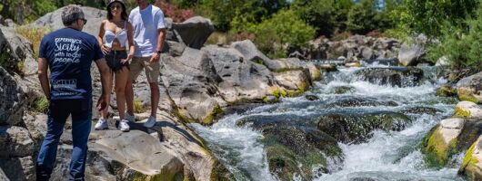 Mt. Etna and Alcantara river full day tour from Catania