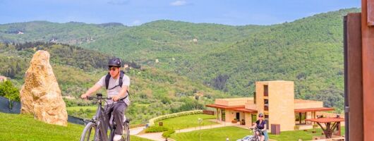 Florence: E-Bike tour to Fiesole with optional Pool or Olive Oil