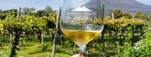 Tour of Pompeii with tour guide plus wine testing and lunch in a winery Vesuvius