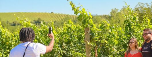 Florence: Private Full-Day Chianti Tour and Winery Lunch Optional