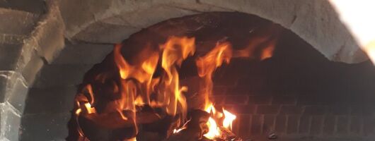 Rome: Wine Tour & Pizza Making Class in a Frascati's vineyard - 5 hours
