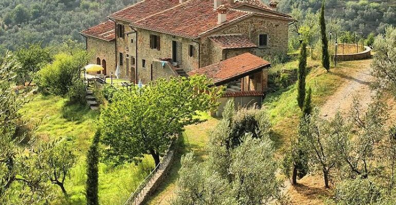 Florence Da Vinci Cultural and Wine Tour