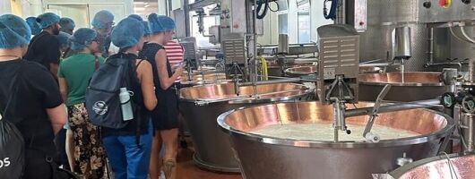 Day Tour Parmigiano, Ferrari Museum, Balsamic, Lambrusco, Lunch with Transfer