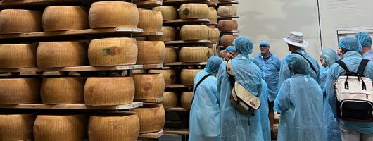 Parmigiano Balsamic and Ferrari Flavors of Emilia Romagna