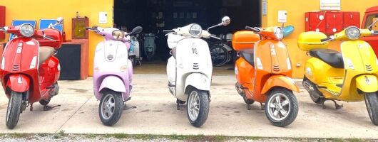 Discover the Hidden Gems of Val d'Orcia by Vespa!