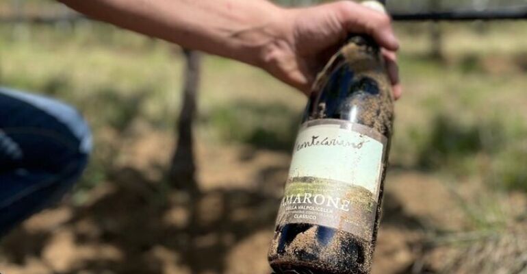 Valpolicella Winery Tour and Tasting Experience