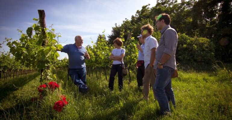 Padova Wine Tasting and Culinary Experience