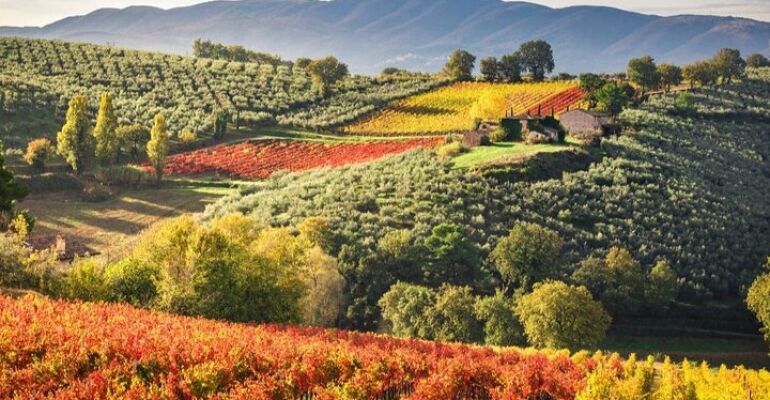 Umbria Wine Tasting and Spa Experience