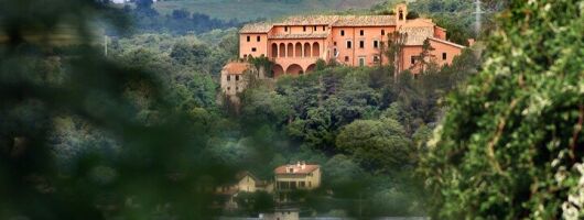 Full day experience | Tasting & art among the Orvieto vineyards