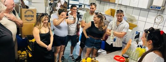 Sorrento Limoncello Tasting in a Seafront Factory