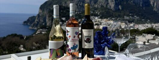 Small Group Capri Wine Tasting Experience with Faraglioni Views