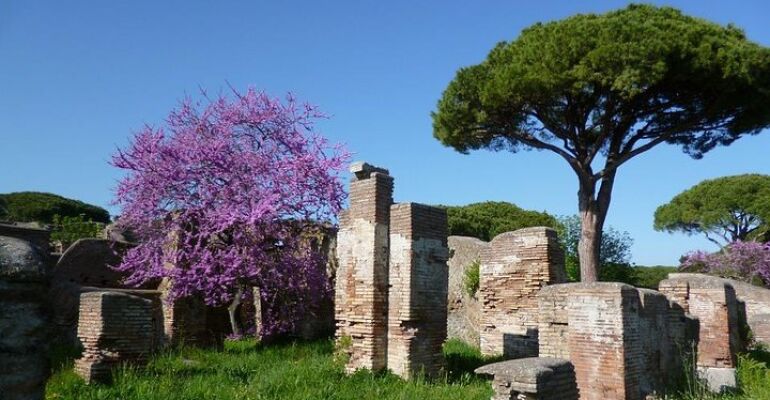 Ostia Antica Private Guided City Tour