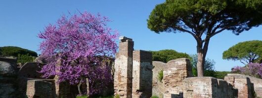 Ancient Ostia from Rome Private Tour with Tickets, Pick-up and Drop-off