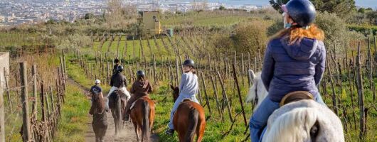 Horseback Riding on Vesuvius