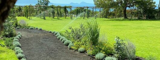 Pompeii Tour & Lunch with Wine Tasting Experience