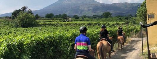 Scenic Horseback Ride, Wine Tasting & Lunch on Mt. Vesuvius