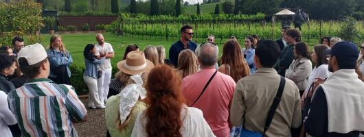 Chianti Half Day Wine Tasting Tour from Siena