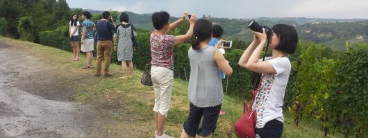 Siena Monteriggioni San Gimignano with Lunch&WineTasting Fullday from Florence
