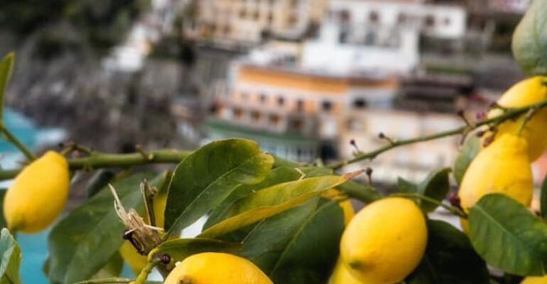 Sorrento Culinary Adventure and Tasting Tour