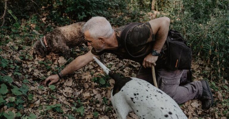 Castelnuovo Berardenga Truffle Hunting Experience