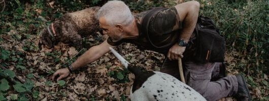 Truffle Hunting in Tuscany