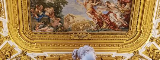 Pitti Palace, Palatina Gallery and the Medici: Arts and Power in Florence.