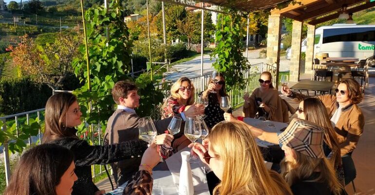 Lucca Wine Tasting and Vineyard Tour