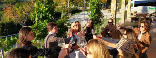 Private wine tour on the magical hills of Lucca (2 wineries)