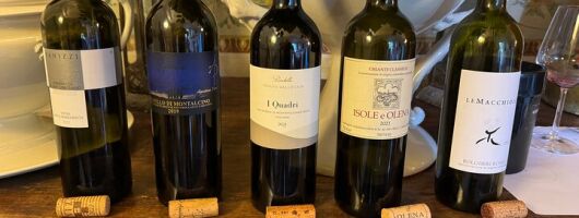 Wine tasting in Lucca with sommelier - The great wines of Tuscany