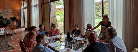 Private wine tour in Chianti Classico with sommelier (2 wineries)