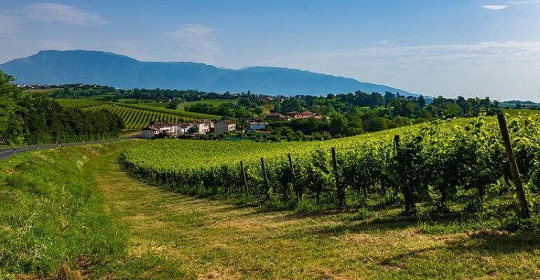 Verona Valpolicella Wine Tasting and Village Tour