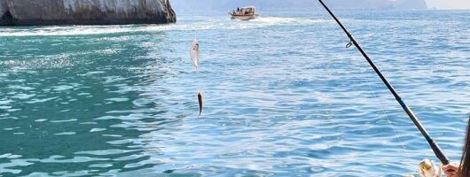 Fishing Tour in Sorrento - enjoy a lunch on board