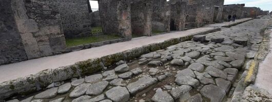 Pompeii Guided Tour & Wine tasting + Easy lunch