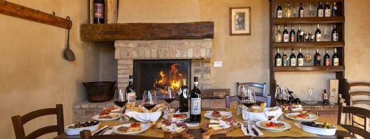 Wine Tour of two Chianti wine estates on the hills of Florence