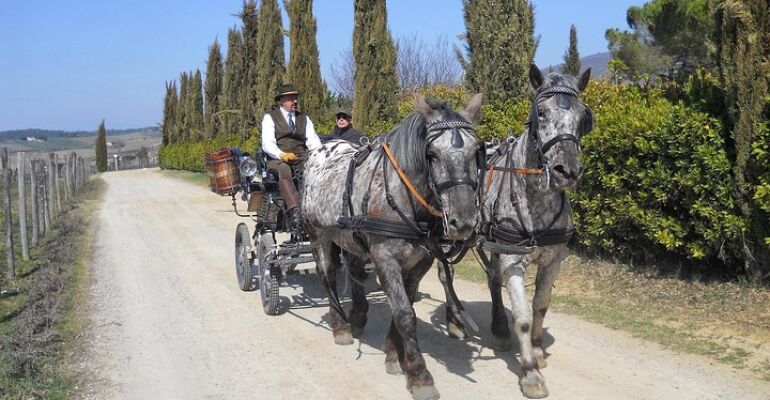 Chianti Romantic Carriage Ride and Lunch
