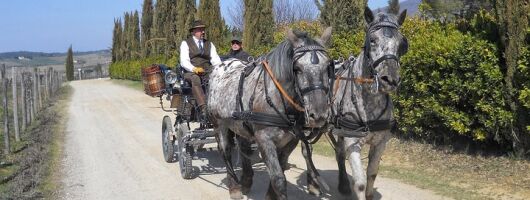 Carriage ride and Lunch in a typical restaurant in the heart of Chianti