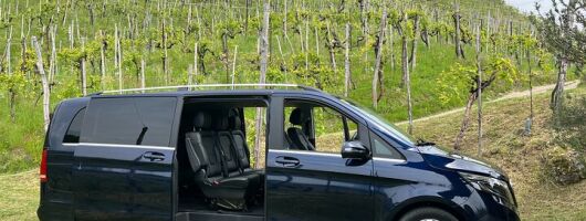 Small Group Tour with Prosecco Wine Tasting from Venice