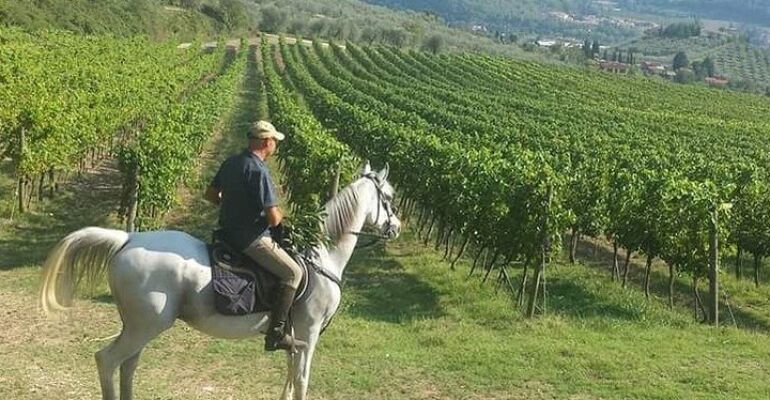 Florence Chianti Horse Riding and Lunch Experience