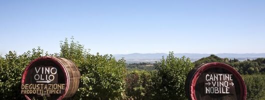 Chianti Region and San Gimignano including wine tasting and light lunch