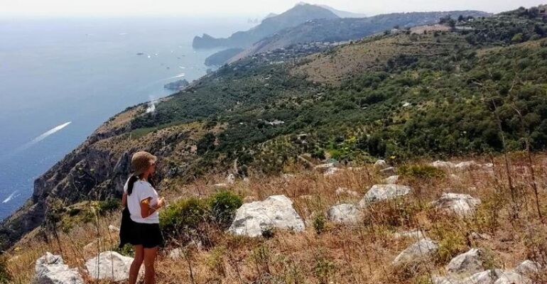 Sorrento Coast Panoramic Hiking Experience