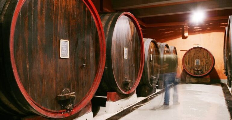 Castiglione Falletto Wine Cultivation Tour