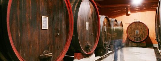 Private Tour in the Cellar and Tasting of Langhe Wines