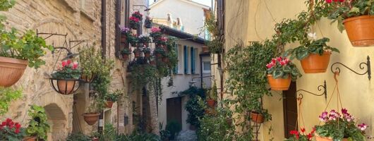 Splendid Spello Walking Tour