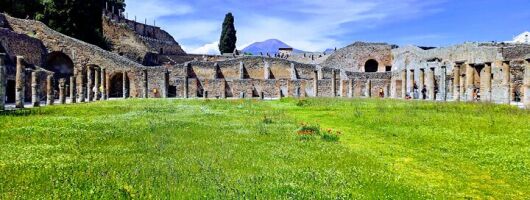 Pompeii private tour from Naples.Best choice for cruise passengers