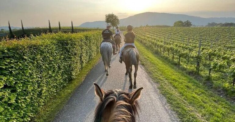 Verona and Valpolicella Wine Historical Tour