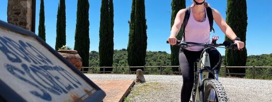 By Ebike: Visit an Art Park and Wine Taste in the Classic Chianti